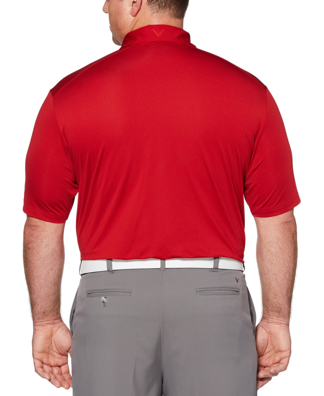 Big & Tall Micro Hex Solid Polo