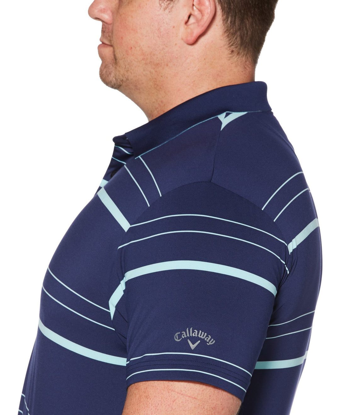Big & Tall Fashion Stripe Polo